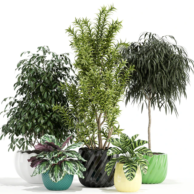 Plants collection 111 — Скачать