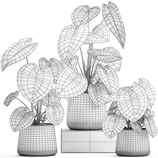 Exotic small flower Anthurium crystal in a white pot flowerbed, Philodendron. Set 890. — Descargar