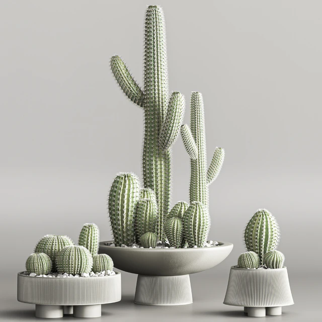 Cactus & plant vol 01 — Descargar
