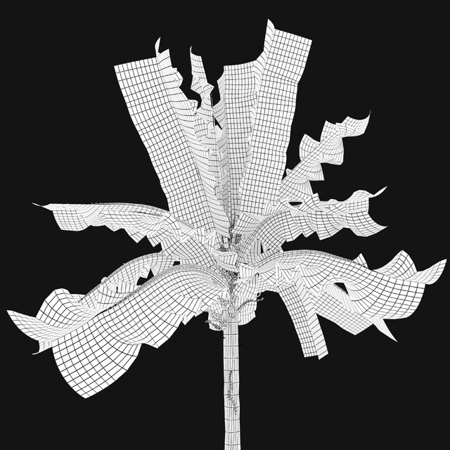 Banana tree 02 — Descargar