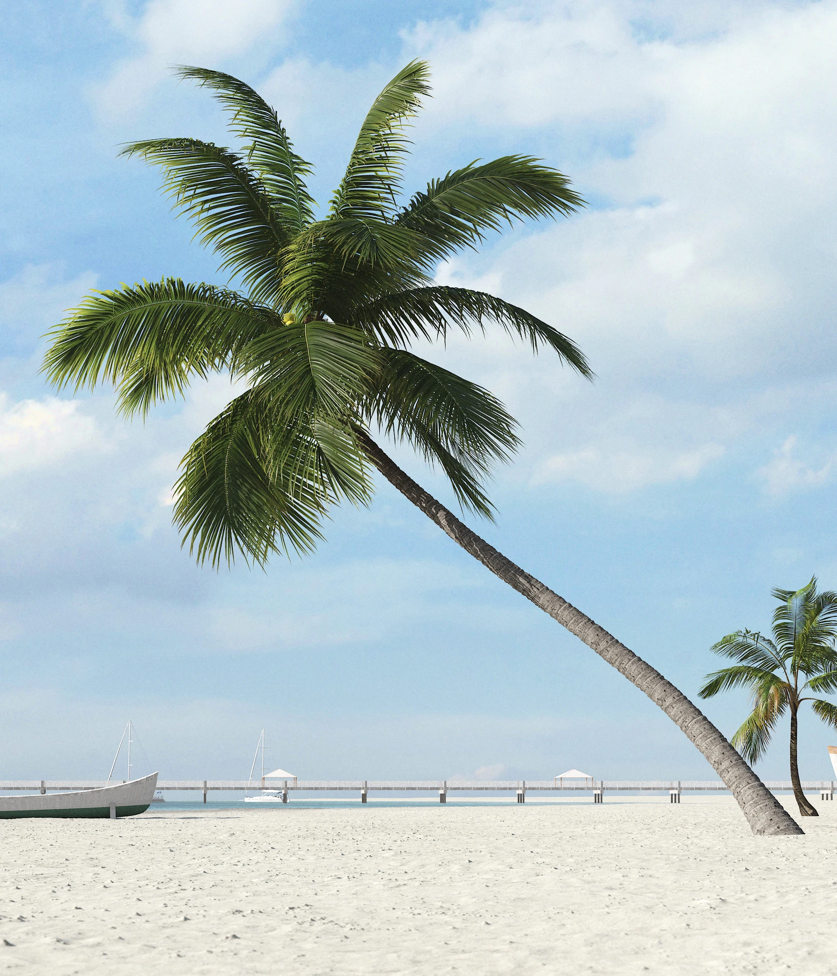 palm trees 038 — Скачать