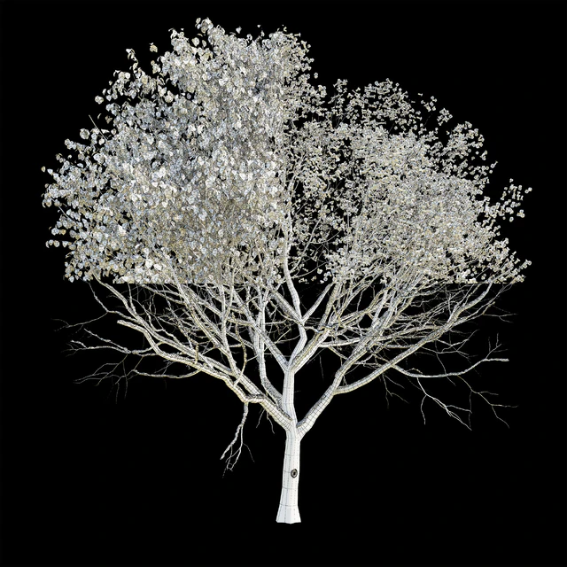 Apple Tree 4 Seasons — Descargar
