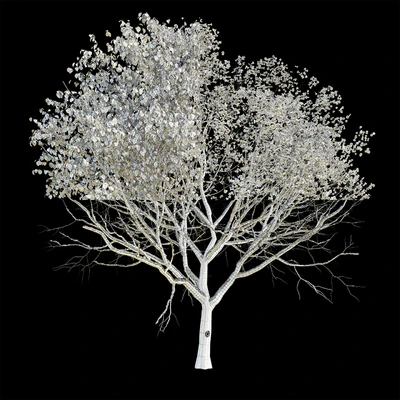 Apple Tree 4 Seasons — Ver 3