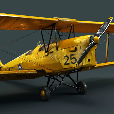 Tiger moth — Вид 3