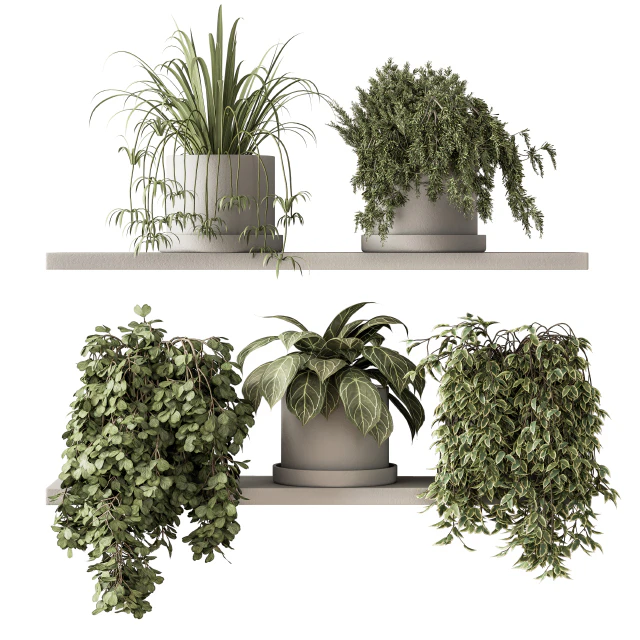 indoor Plant Set 281 - Plant pot on shelves — Descargar