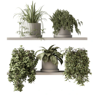 indoor Plant Set 281 - Plant pot on shelves — Ver 1