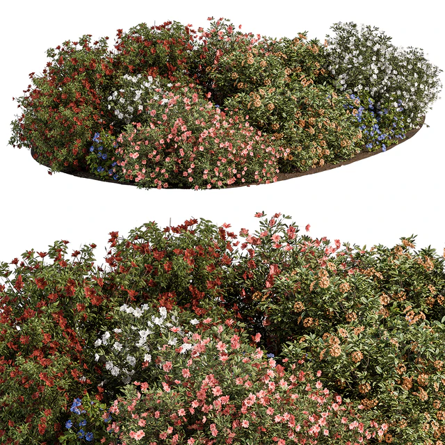 Garden colorful Flower Bush - Set 452 — Descargar