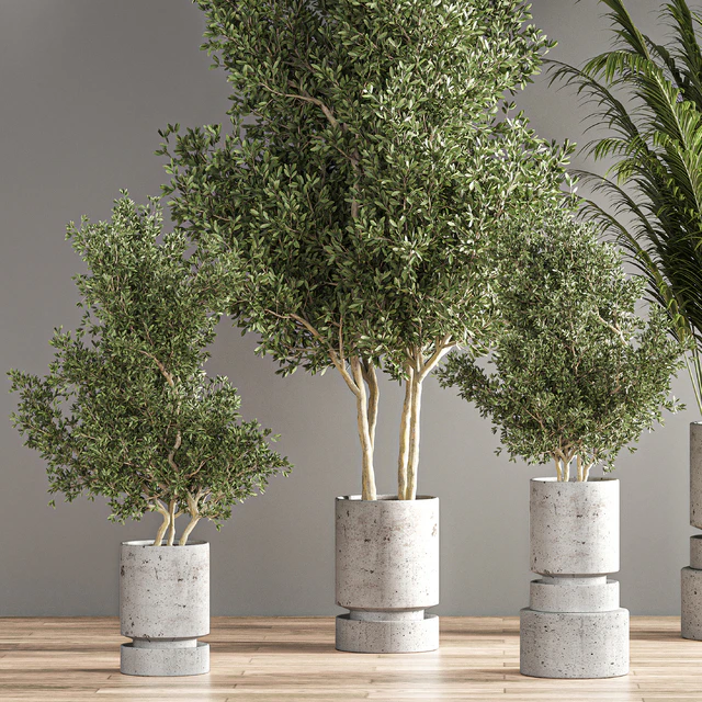 indoor plant set 14 — Скачать