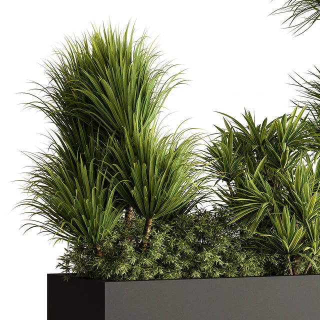 Plant Box - Outdoor Plants 580 — Descargar