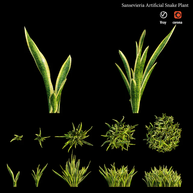 Sansevieria artificial snake plant — Descargar