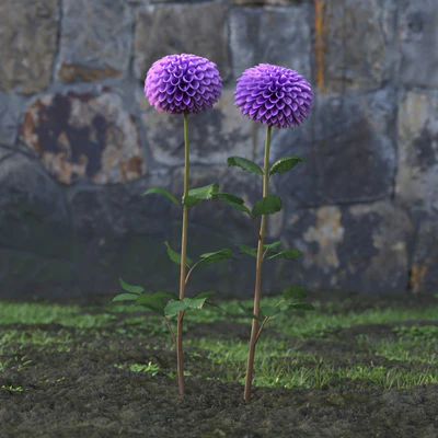 garden flowers 025 — Скачать