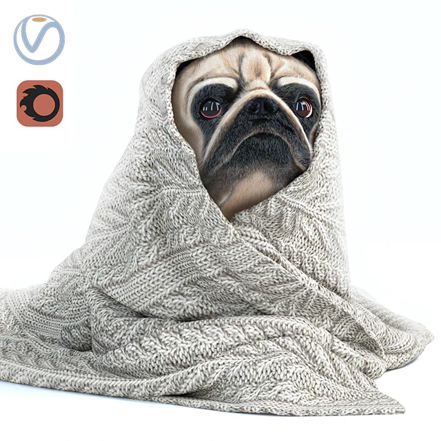 Pug 1 - Winter is coming — Descargar