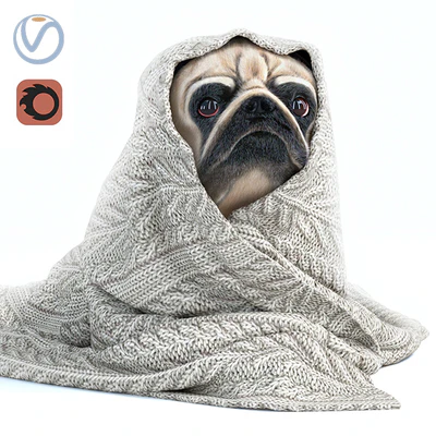 Pug 1 - Winter is coming — Ver 1