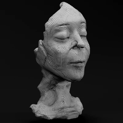 Face Sculpture 2 — Ver 2
