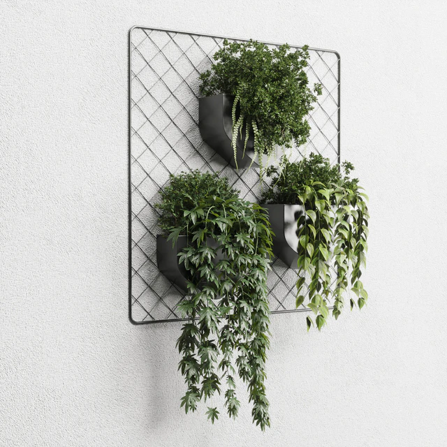 wall plant - hanging plants collection Indoor plant 293 metal dirt vase — Descargar