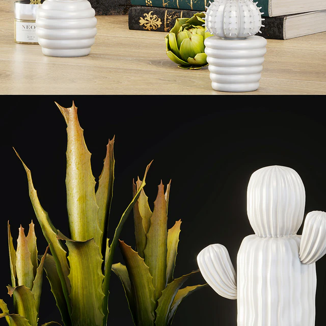 Decorative set   cactus — Скачать