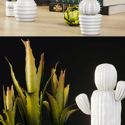 Decorative set   cactus — Вид 2