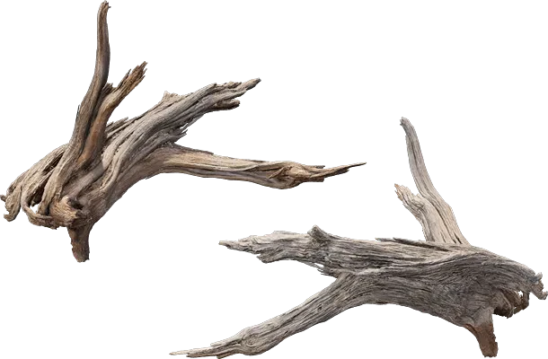 desert western tree log dead medium 003 — Descargar