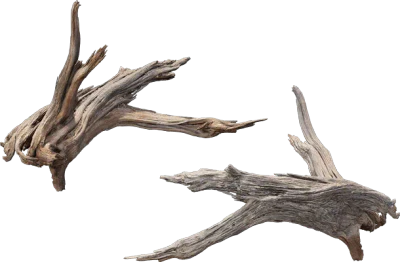 desert western tree log dead medium 003 — Descargar