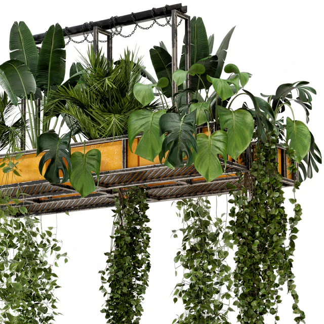 Indoor Hanging Plants in Metal Box - Set 146 — Descargar