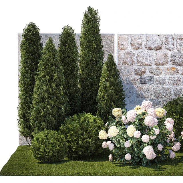 Collection of plants garden with bushes and trees for landscape design with thuja, cypress, flowering Hydrangea white. Set 1378. — Descargar