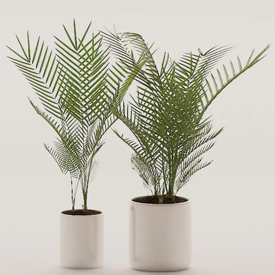 Plants 144 — Ver 2