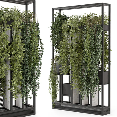 Indoor Hanging Plants in Metal Stand - Set 1698 — Ver 1