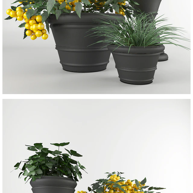 Ornamental garden # 7 — Descargar