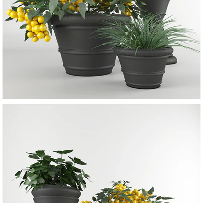 Ornamental garden # 7 — Ver 2