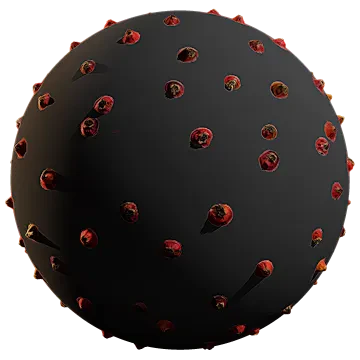 rose hip 002 — Descargar
