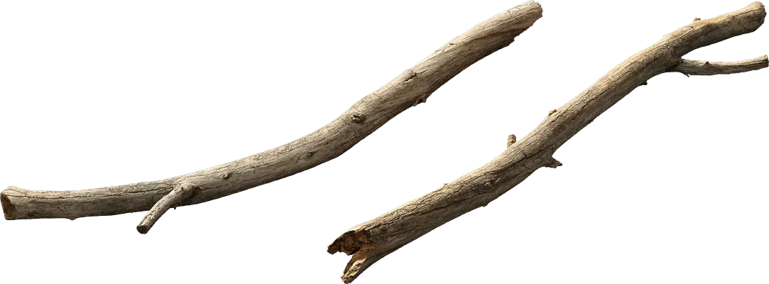 dead tree branch 004 — Descargar