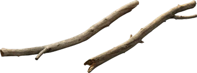 dead tree branch 004 — Descargar