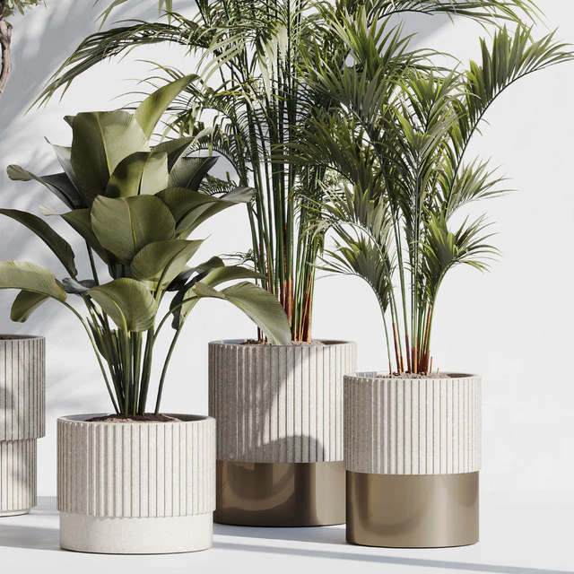 indoor plant set 78 — Descargar
