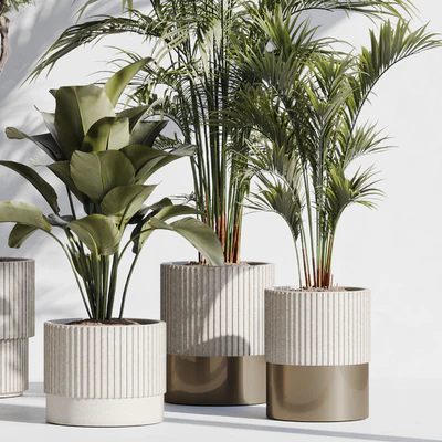 indoor plant set 78 — Ver 2