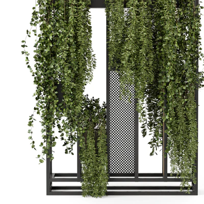 Indoor Hanging Plants in Metal Stand - Set 1005 — Ver 3