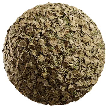 dried leaves 039 — Download