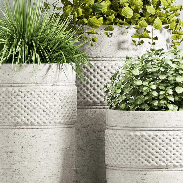 PLANT SET - 67 — Скачать