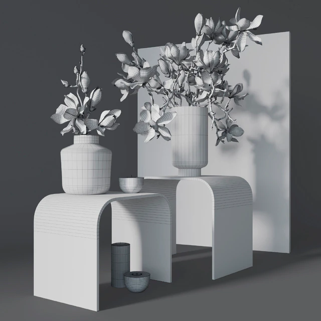 Decorative set with magnolia — Descargar