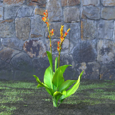 garden flowers 040 — Descargar