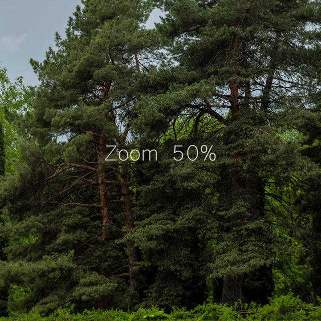 Панорама из парка. 30к — Скачать