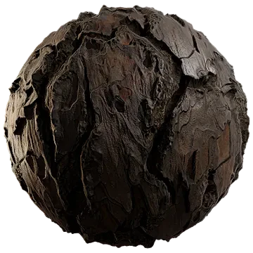 pinus roxburghii tree bark 001 — Скачать