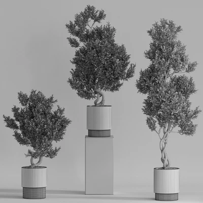 Plants collection 735 — Ver 3