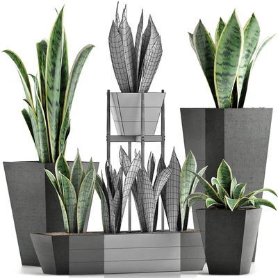 Plants Collection 29 — Ver 4