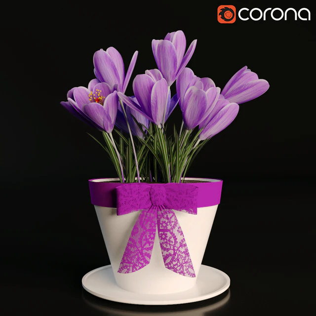 A pot of crocuses — Descargar