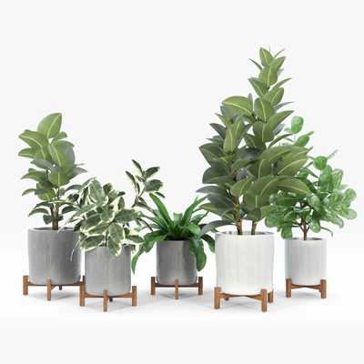 Bungalow Planter Collection — Вид 4