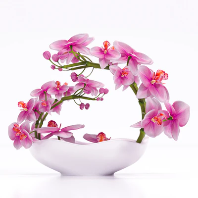 ORCHID 3 — Вид 1