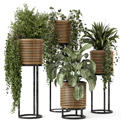 Indoor Plants in natural rattan Pot on Metal Base  - Set 592 — Вид 1