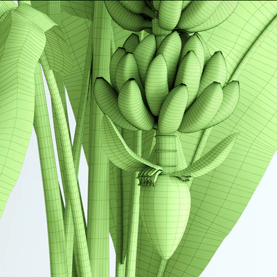 Banana tree with moss — Ver 3