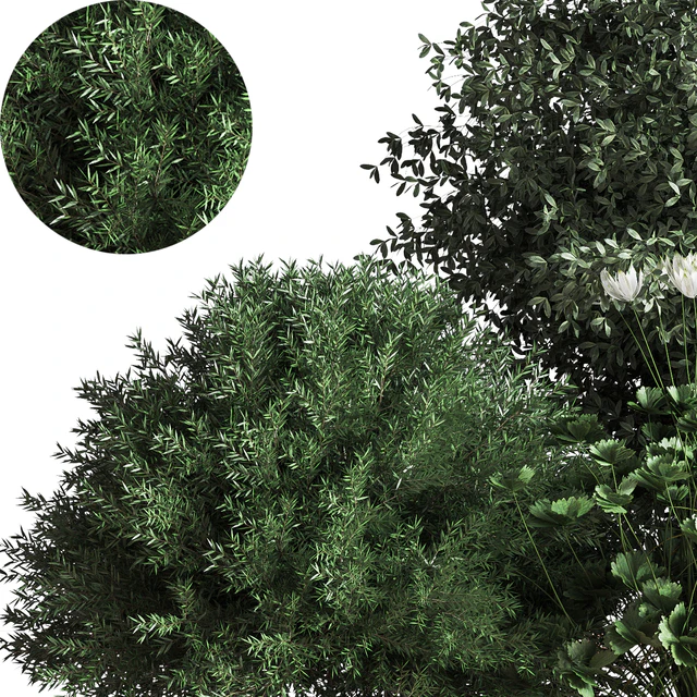 Bush04 — Скачать