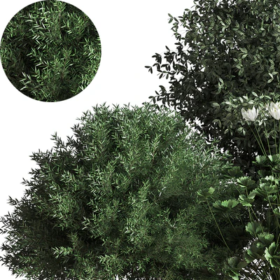 Bush04 — Вид 2